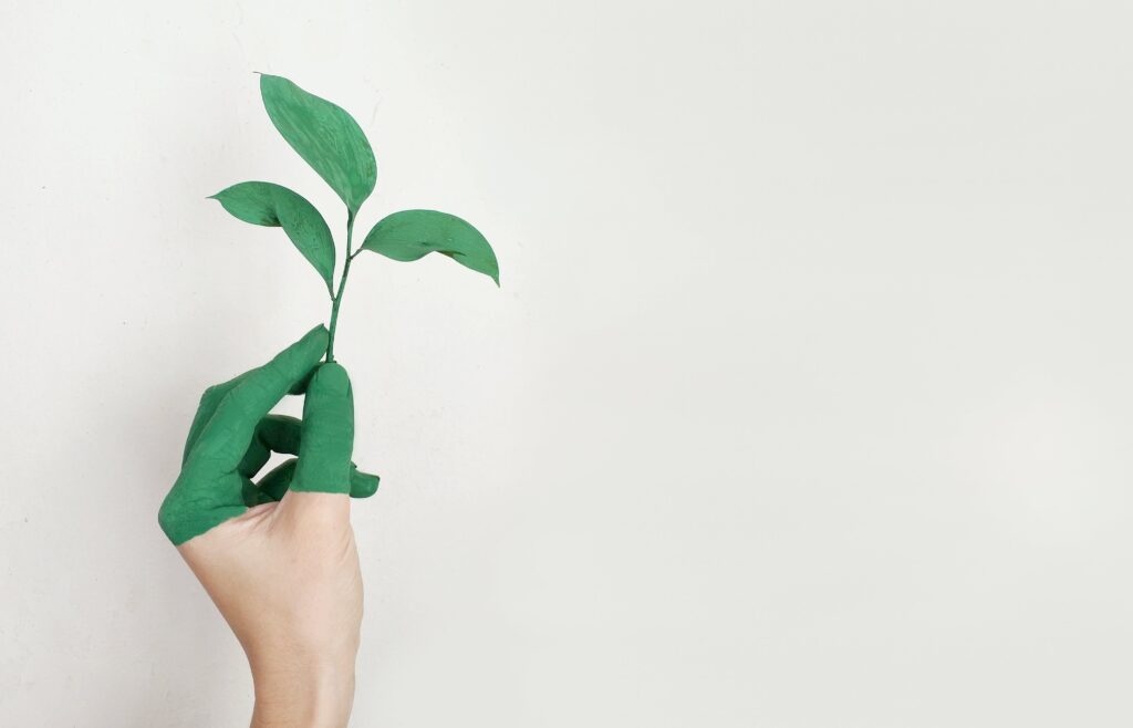 Wie bringt man Nachhaltigkeit und Banking zusammen, ohne ins Greenwashing abzudriften?